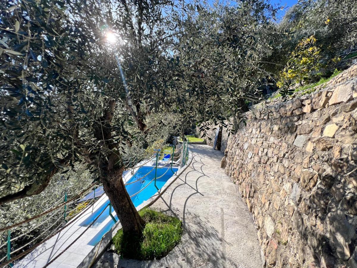 Villa Di Campagna Con Vista Mare 5 Camere Da Letto Pampara Экстерьер фото